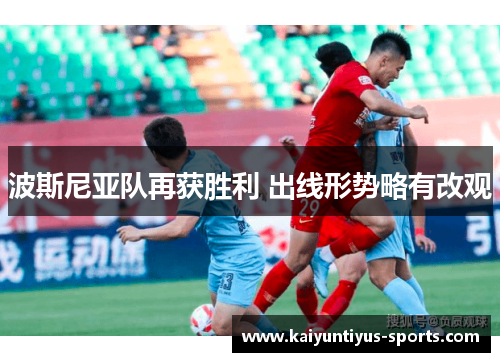 波斯尼亚队再获胜利 出线形势略有改观
