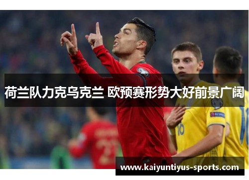 荷兰队力克乌克兰 欧预赛形势大好前景广阔