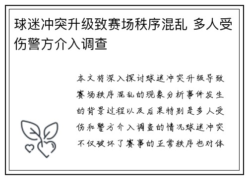 球迷冲突升级致赛场秩序混乱 多人受伤警方介入调查
