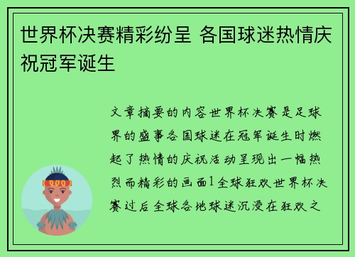 世界杯决赛精彩纷呈 各国球迷热情庆祝冠军诞生